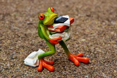 la grenouille
